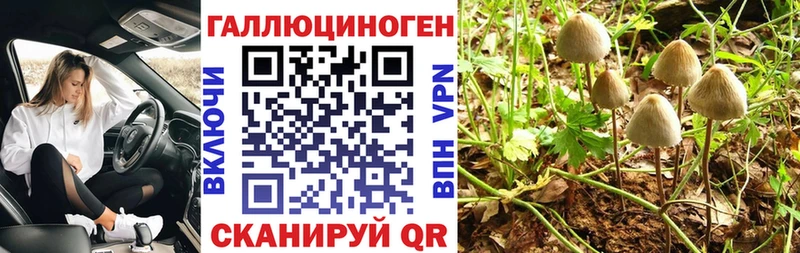 цена наркотик  Каменск-Уральский  Галлюциногенные грибы MAGIC MUSHROOMS 